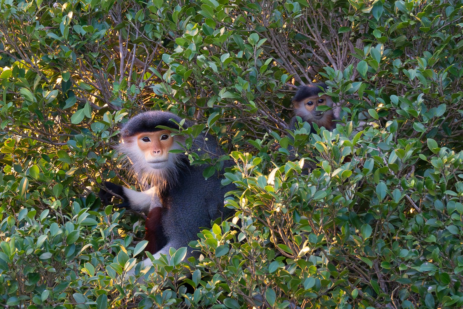 Tailored Cuba Travel Itineraries